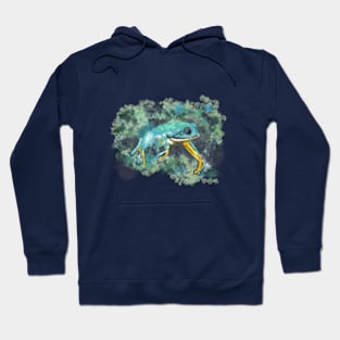 Aqua frog Hoodie